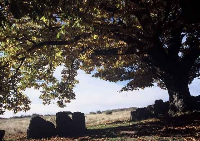 A Lagosta Perdida Montezinho Εξωτερικό φωτογραφία