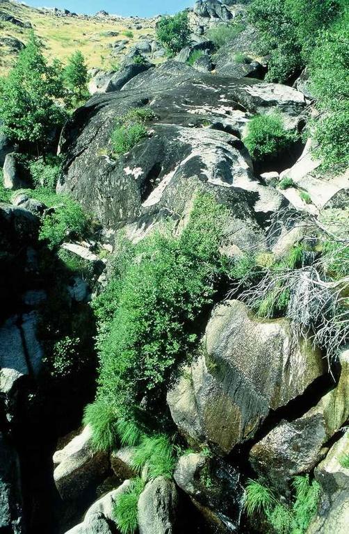 A Lagosta Perdida Montezinho Εξωτερικό φωτογραφία