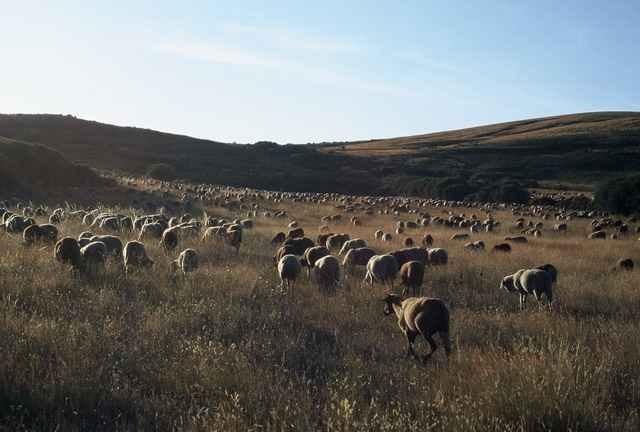 A Lagosta Perdida Montezinho Εξωτερικό φωτογραφία