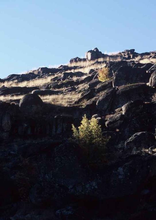 A Lagosta Perdida Montezinho Εξωτερικό φωτογραφία