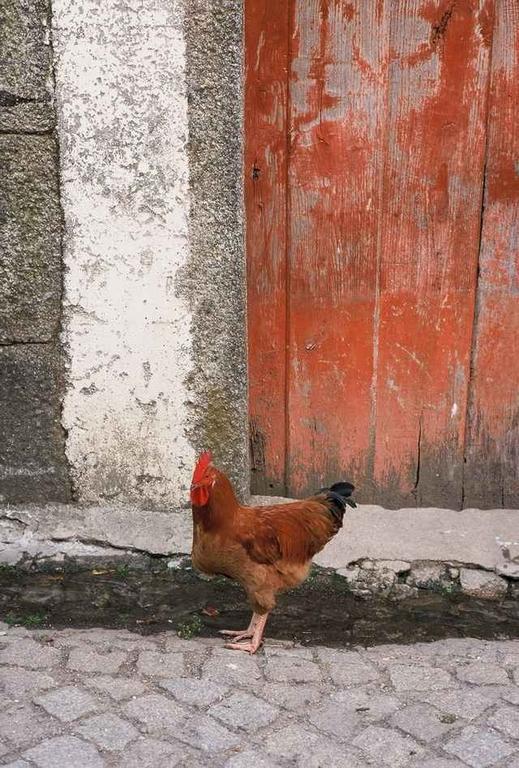 A Lagosta Perdida Montezinho Εξωτερικό φωτογραφία