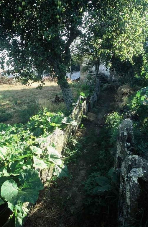 A Lagosta Perdida Montezinho Εξωτερικό φωτογραφία